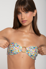 Hana Top (Botanica)